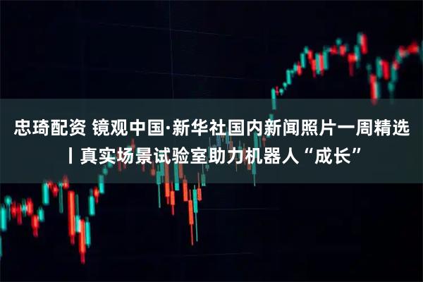 忠琦配资 镜观中国·新华社国内新闻照片一周精选丨真实场景试验室助力机器人“成长”